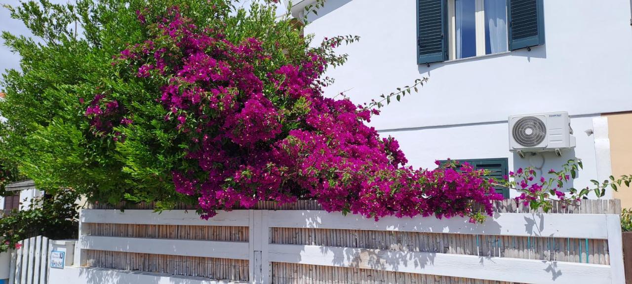 Piero'S Apartment Calasetta Exterior photo